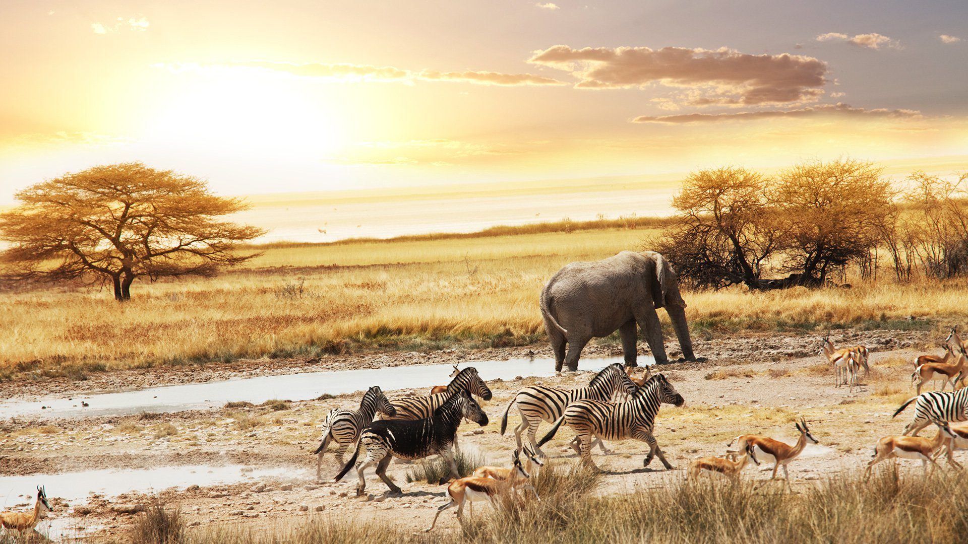 10 Best Highways for Romantic Long Drive